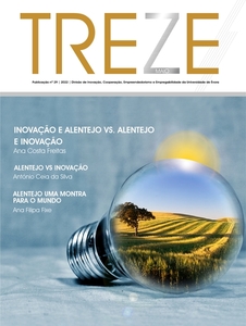 Publicação TREZE - Número 29