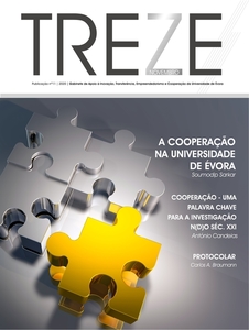 Publicação TREZE – Número 11