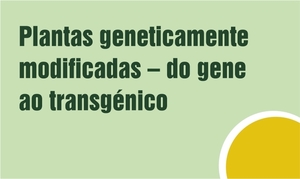 botão 2