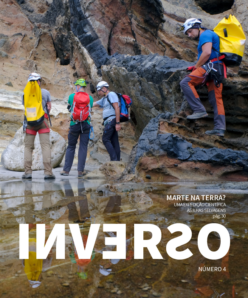 inverso_4_capa_net