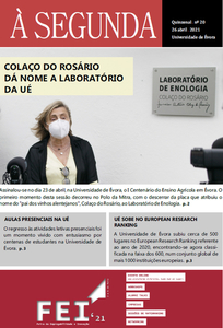Edição 20