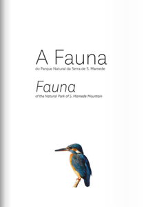 Fauna 