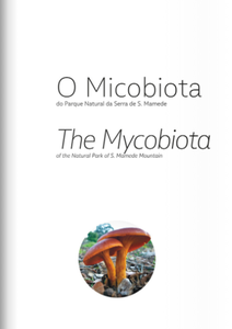 Micobiota