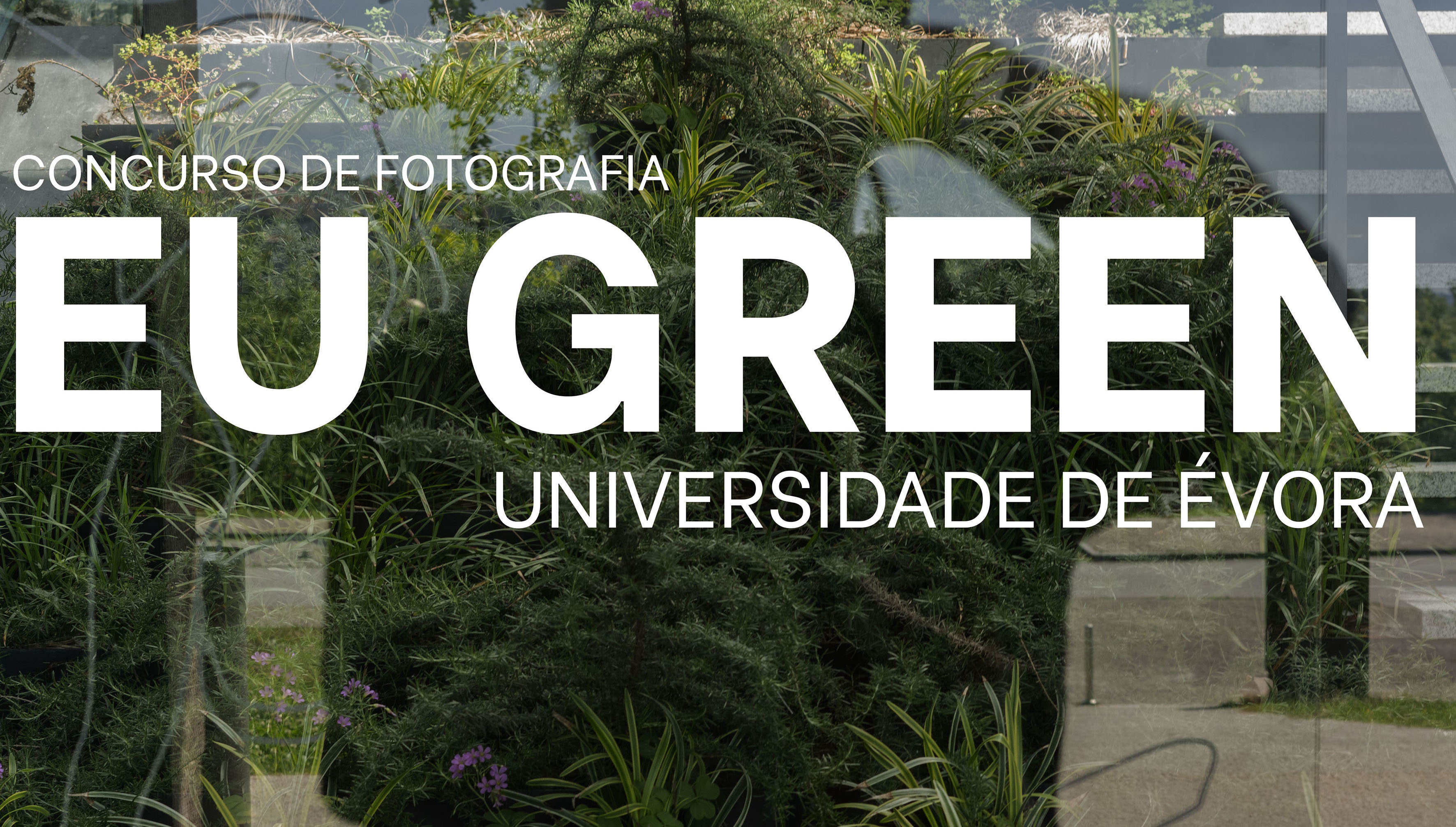 Concurso de Fotografia