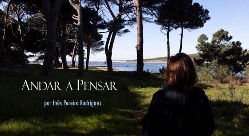 Andar a pensar