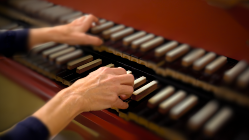 AVONDANO XXI: 4º Concerto comentado, de Mafalda Nejmeddine