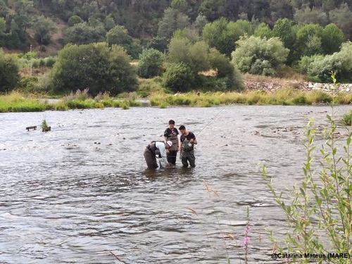 Investigadores da Universidade de Évora e do MARE promovem o I Workshop de Pesca à Truta no rio Mondego