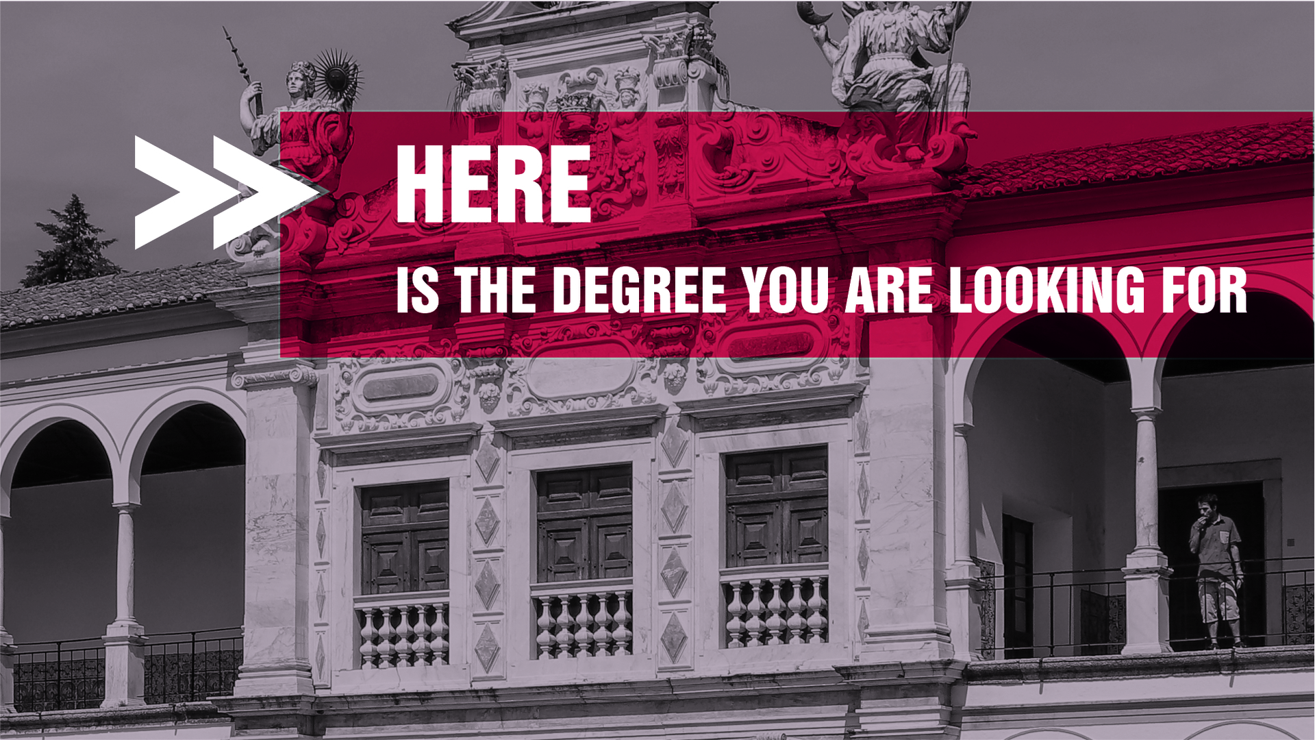 Banner here is the degree you are looking for