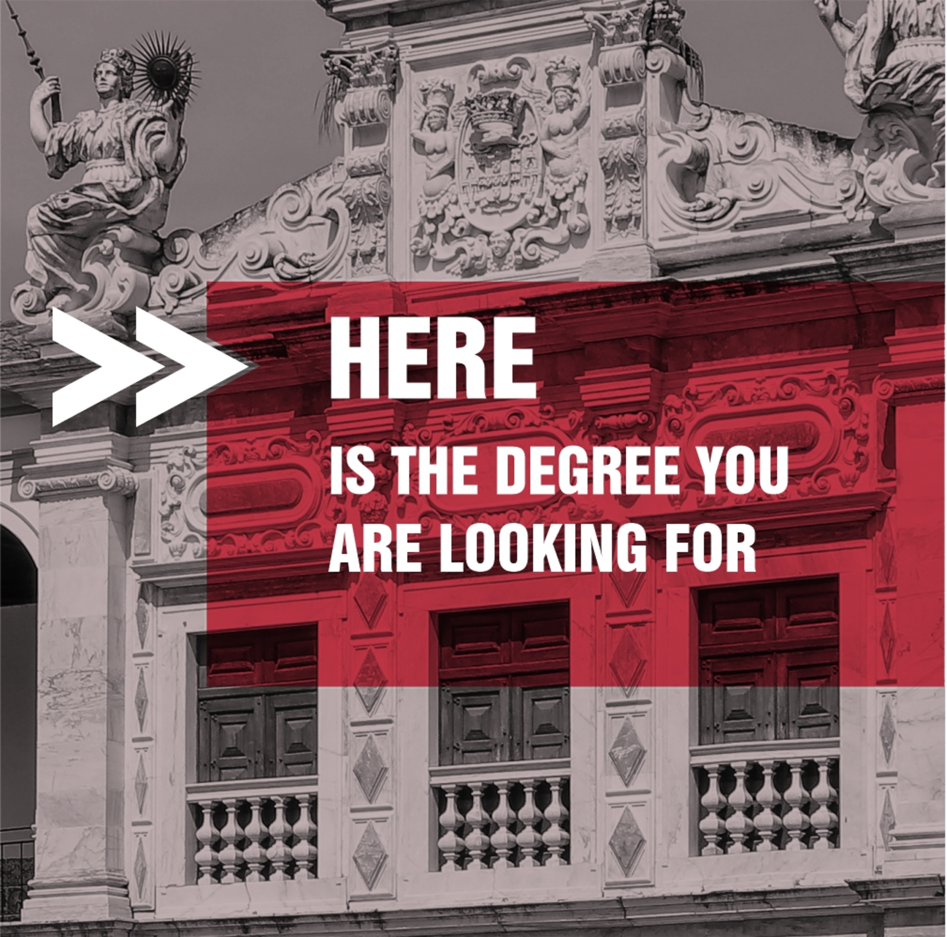 Banner here is the degree you are looking for