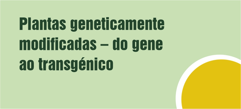 Plantas Geneticamente Modificadas - do gene ao transgénico