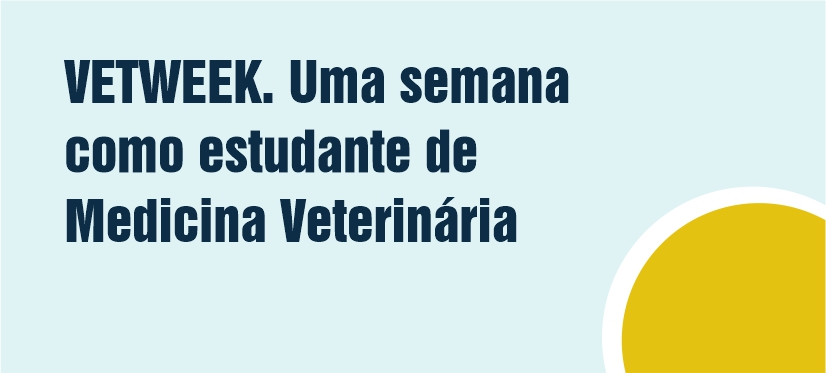 VETWEEK. Uma semana como estudante de Medicina Veterinária