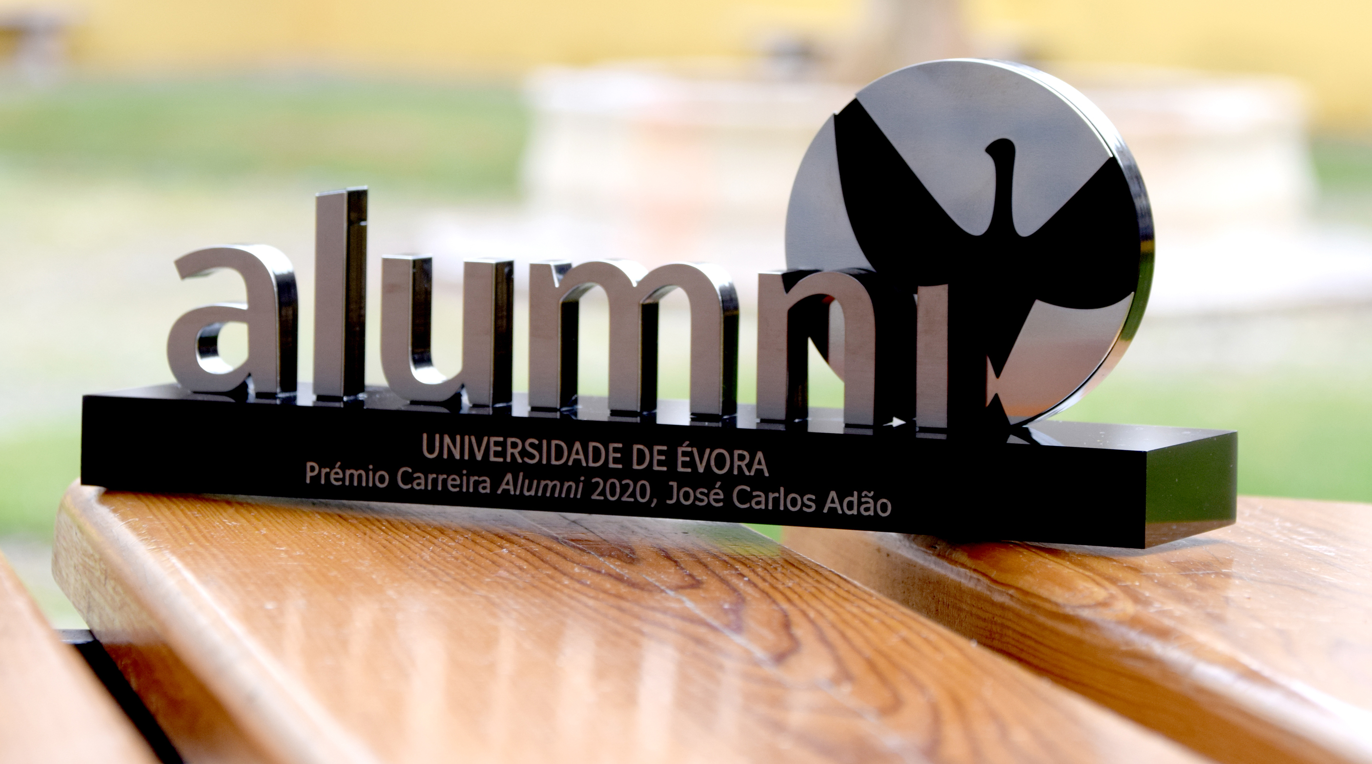 Alumni Career Award